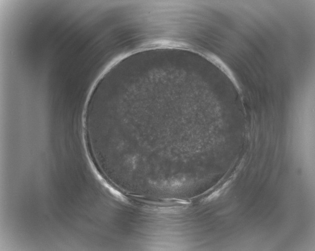 X0000073871381200608312041