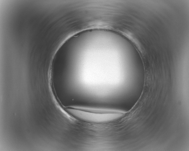 X0000073871383200608312041