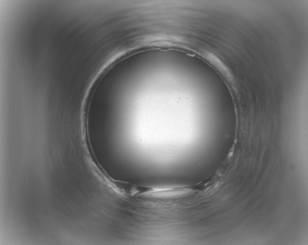 X0000073871384200608312041