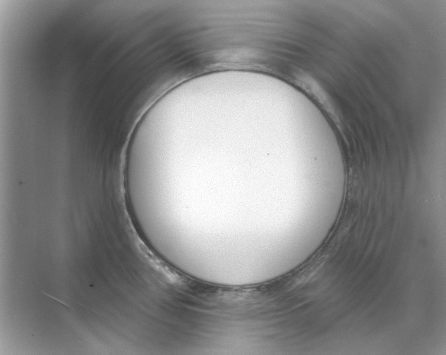 X0000073871386200608312041