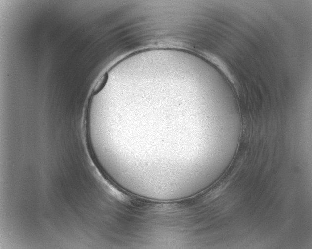 X0000073871387200608312041