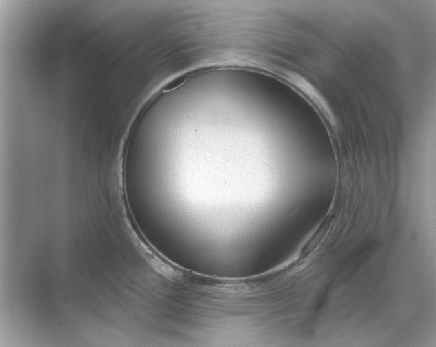 X0000073871388200608312041