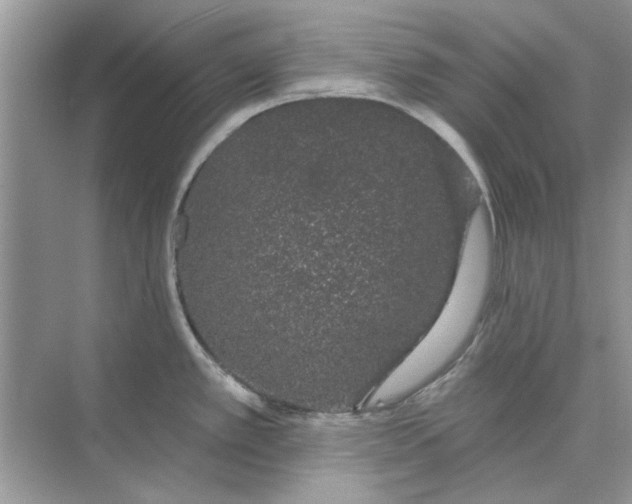 X0000073871389200608312041