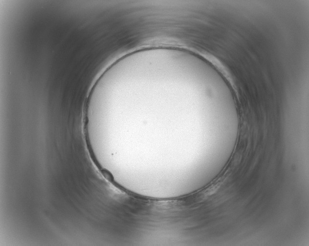 X0000073871390200608312041