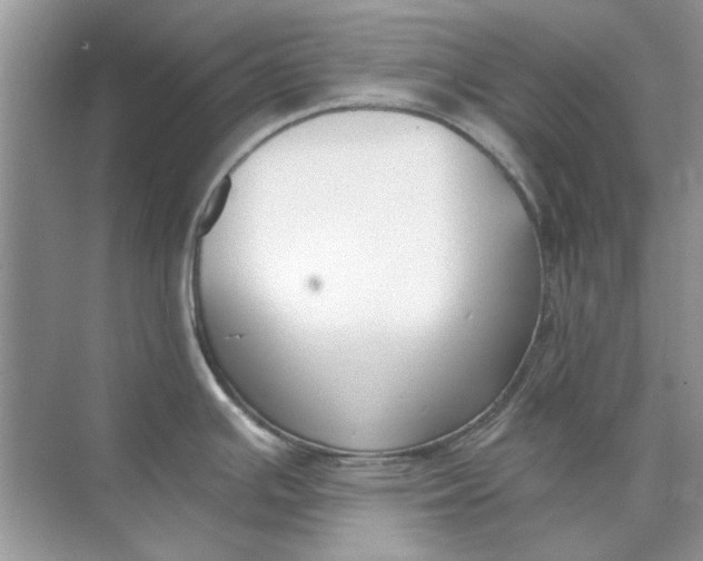 X0000073871391200608312041