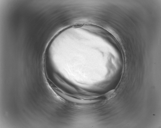 X0000073871392200608312041