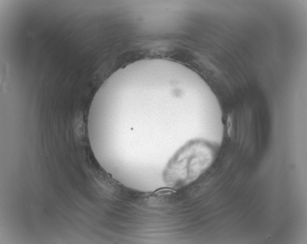 X0000073871395200608312040