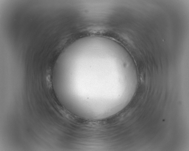 X0000073871396200608312040