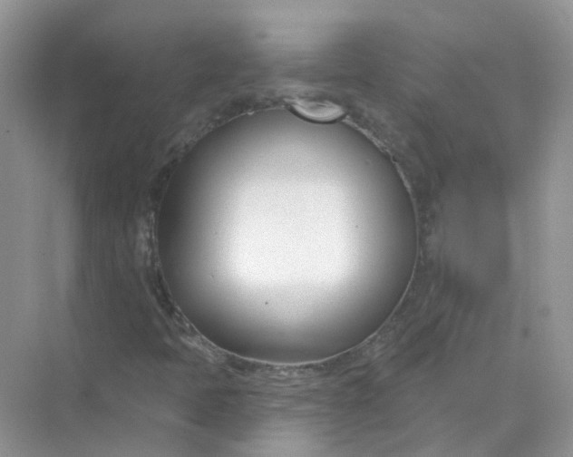 X0000073871397200608312040