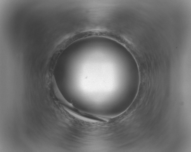 X0000073871398200608312040