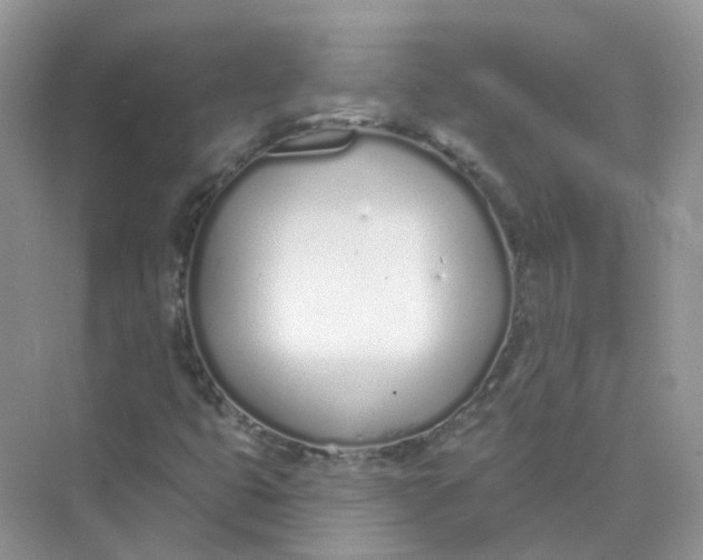 X0000073871399200608312040