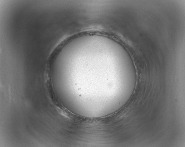 X0000073871400200608312040