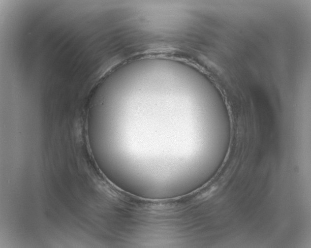 X0000073871401200608312040