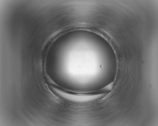 X0000073871402200608312040