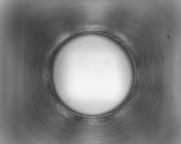 X0000073871405200608312040