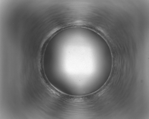 X0000073871410200608312041