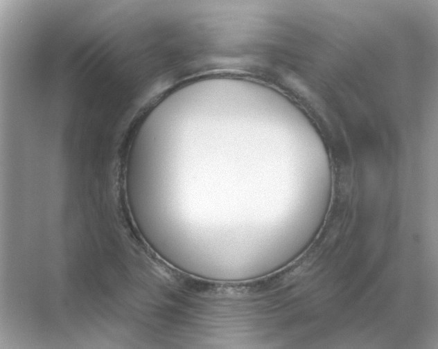 X0000073871411200608312041