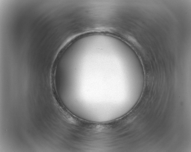 X0000073871412200608312041