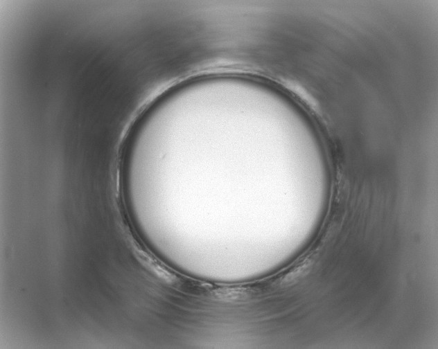 X0000073871413200608312041