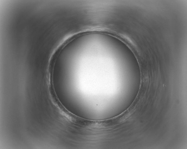 X0000073871414200608312041