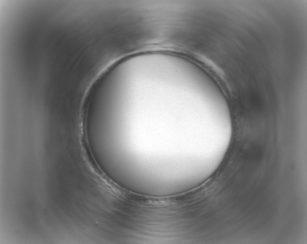 X0000073871415200608312041