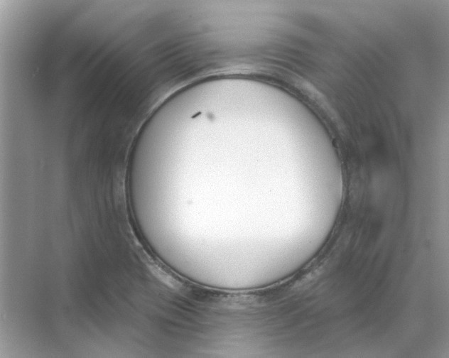 X0000073871417200608312041