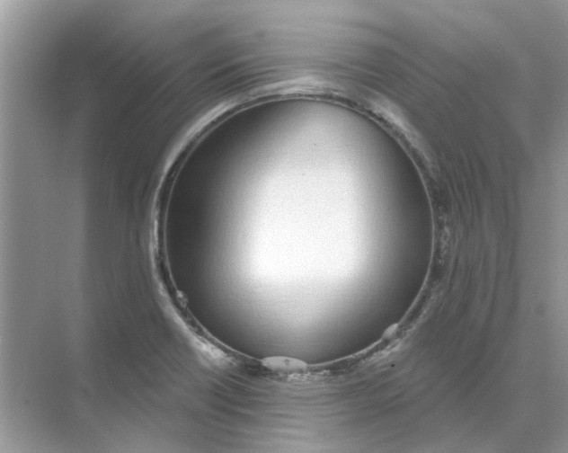 X0000073871418200608312041