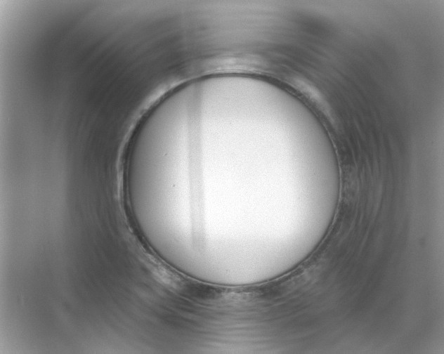 X0000073871419200608312041