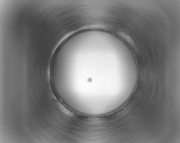 X0000073871420200608312041