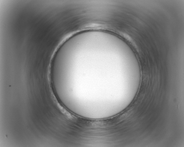 X0000073871421200608312041