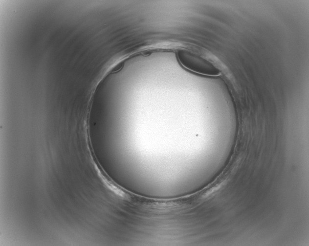 X0000073871425200608312041