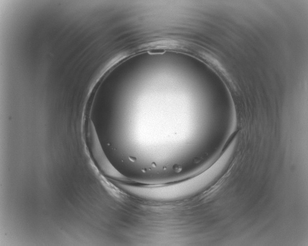 X0000073871426200608312041