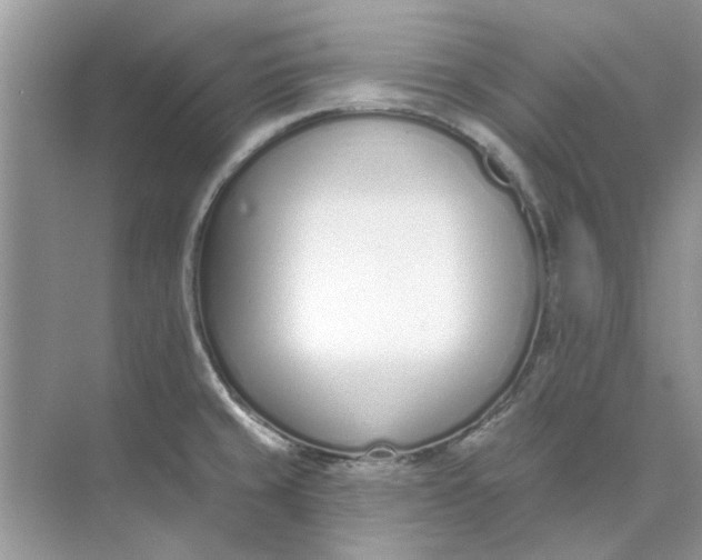 X0000073871429200608312041