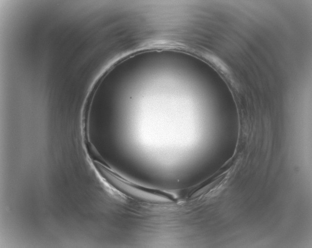 X0000073871430200608312041