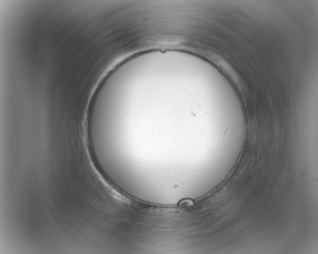 X0000073871432200608312041