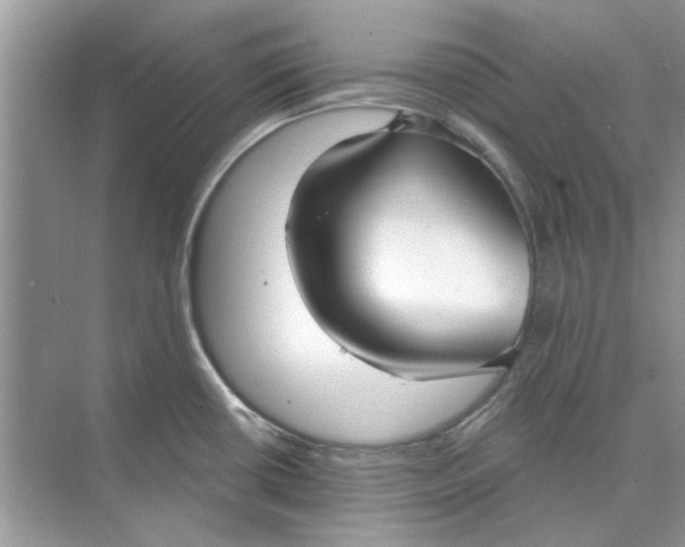 X0000073871434200608312041