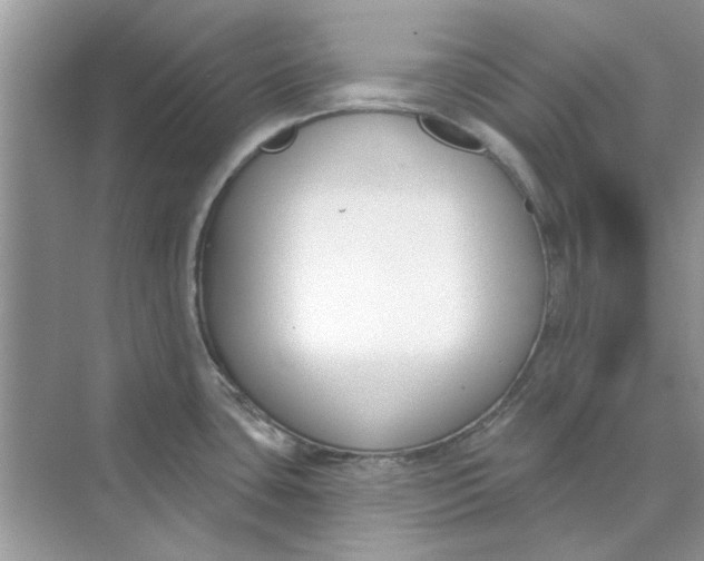 X0000073871435200608312041