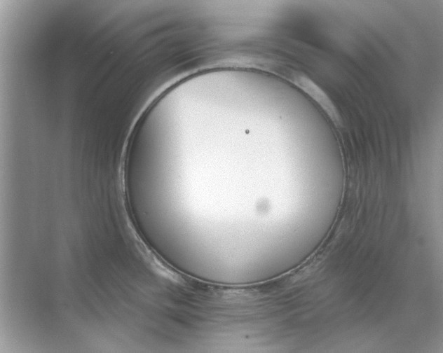 X0000073871436200608312041