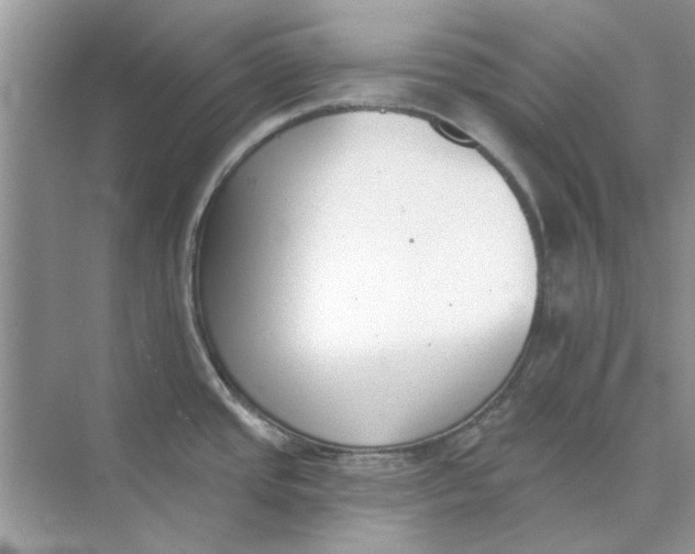 X0000073871437200608312041