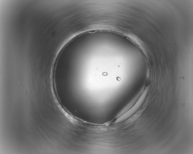 X0000073871438200608312041