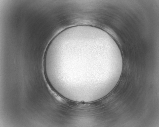 X0000073871439200608312041