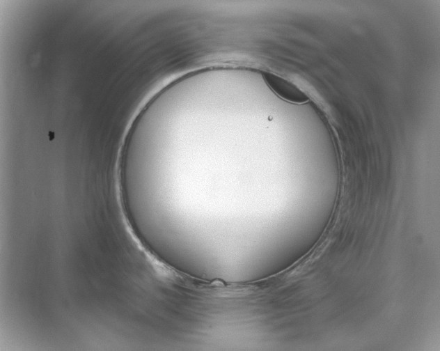 X0000073871440200608312041