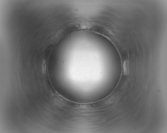 X0000073871443200608312040