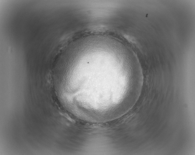 X0000073871445200608312040