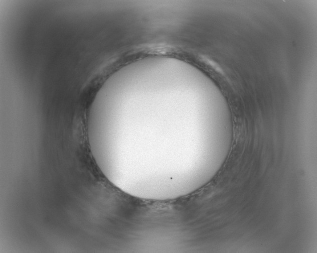 X0000073871446200608312040