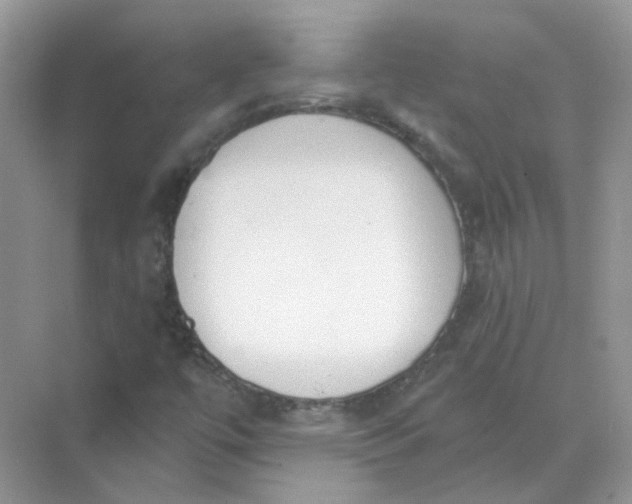 X0000073871447200608312040