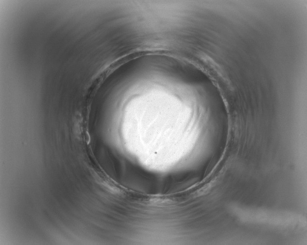 X0000073871449200608312040