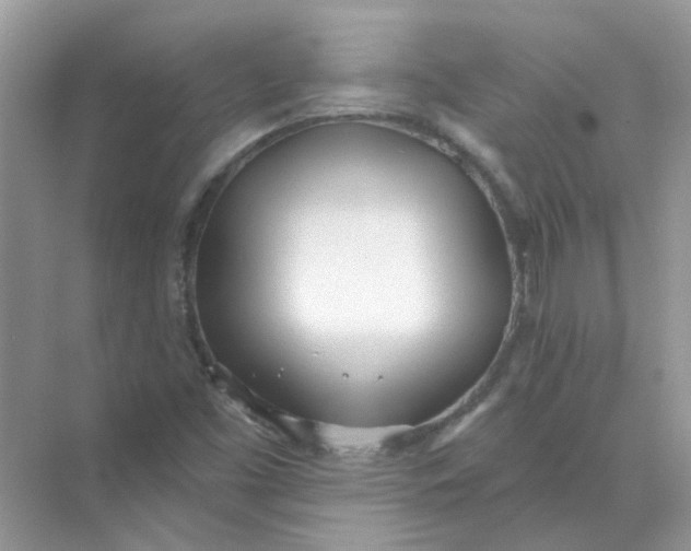 X0000073871453200608312040