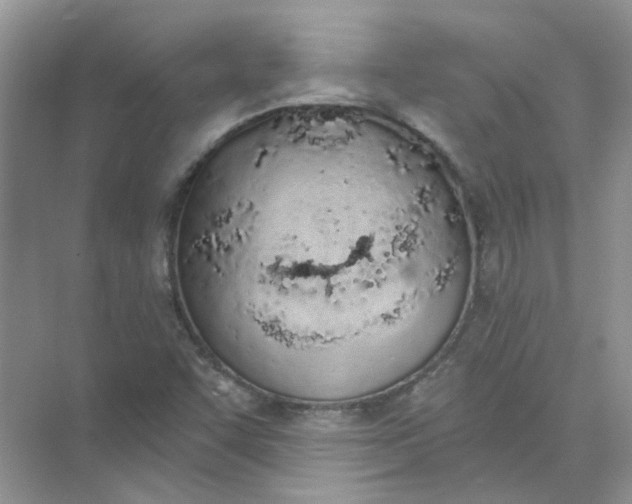 X0000073871455200608312040