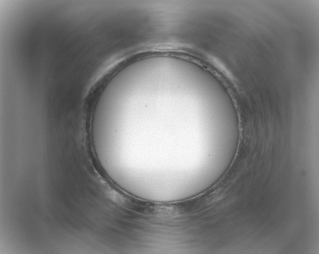 X0000073871456200608312040